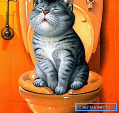 Glad katt