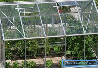 Naturligt ventilationssystem i växthus