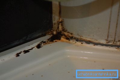 Foto av mögel i duschlådan Foto av mögel i duschlådan