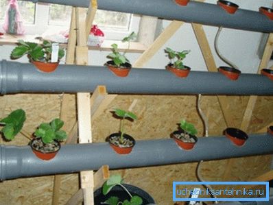 Hydroponisk system av avloppsrör