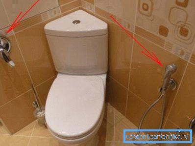 Hygienisk typ av själ. Hygienisk typ av själ.