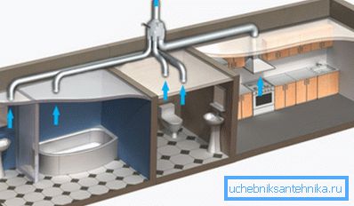 Grafisk representation av placeringen av ventilation med en stigare på toalettenivå