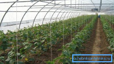 Det använda värmesystemet väljs utifrån området för den agrotekniska strukturen.