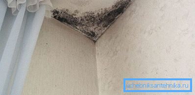 På grund av dålig ventilation börjar mögel