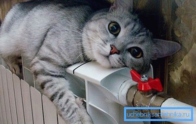 Katten uppvärms på en aluminiums radiator