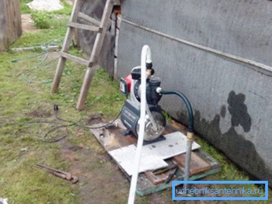 På bilden - Abyssinian bra med pumpstation