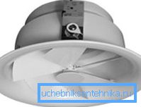 På bilden - den vanliga diffusorn På bilden - den vanliga diffusorn