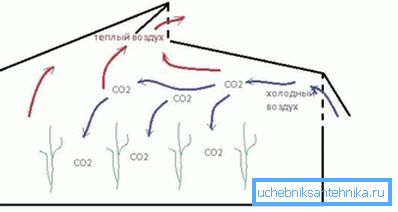 På bilden - det enklaste systemet med växthusventilation