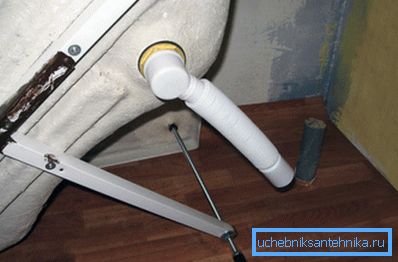På en foto - plommon med flexibel frisättning