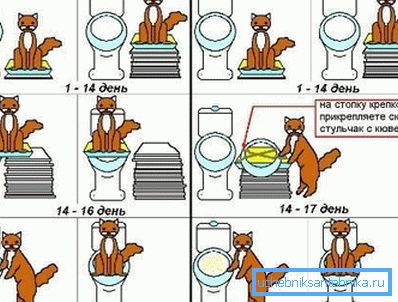 Taming Guide i bilder