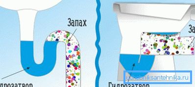 Schema av vattenfälla under diskbänken och toalett Schema av vattenfälla under diskbänken och toalett