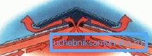 Grismästarsystem