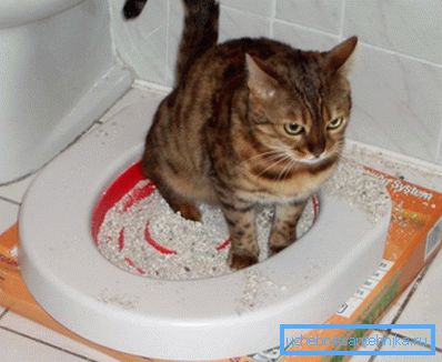 Innehållet i facket behöver göra någonstans, och inte alltid toaletten blir det bästa valet.