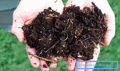 Råvaror för självständig produktion av biogas Råvaror för självständig produktion av biogas