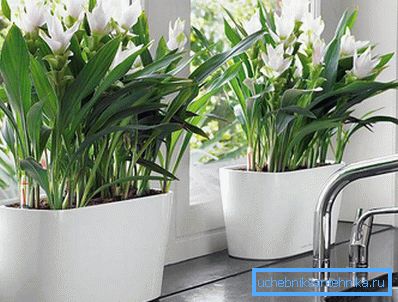 Nu luktar huset som blommor